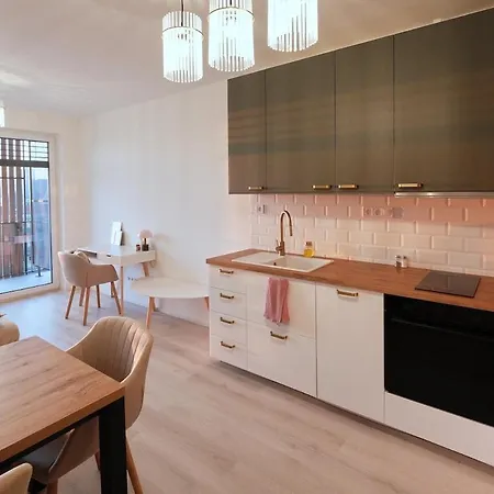 Homey 610 * Komarov
